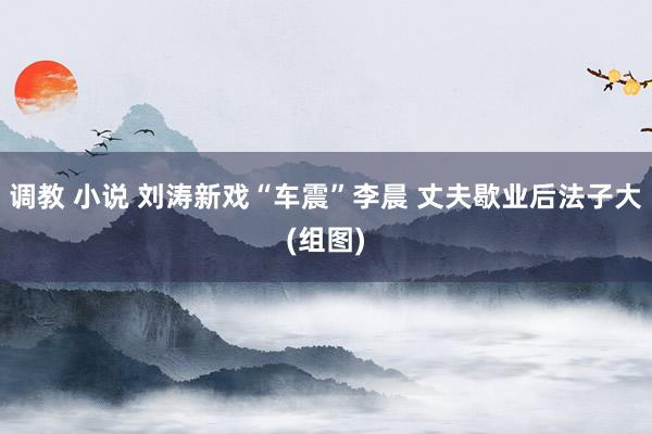 调教 小说 刘涛新戏“车震”李晨 丈夫歇业后法子大(组图)
