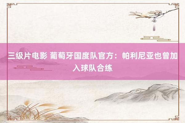 三级片电影 葡萄牙国度队官方：帕利尼亚也曾加入球队合练