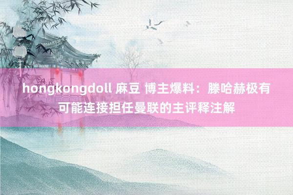 hongkongdoll 麻豆 博主爆料：滕哈赫极有可能连接担任曼联的主评释注解