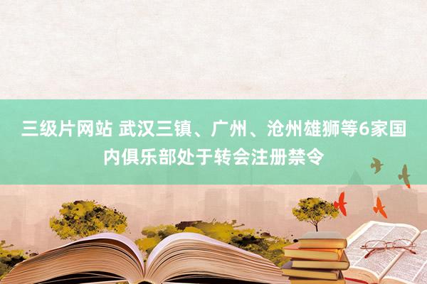 三级片网站 武汉三镇、广州、沧州雄狮等6家国内俱乐部处于转会注册禁令