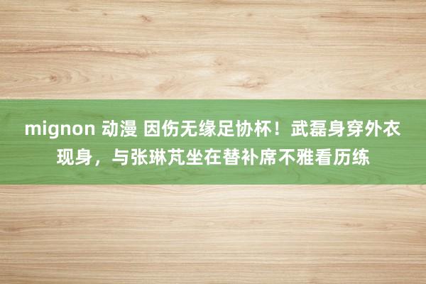 mignon 动漫 因伤无缘足协杯！武磊身穿外衣现身，与张琳芃坐在替补席不雅看历练