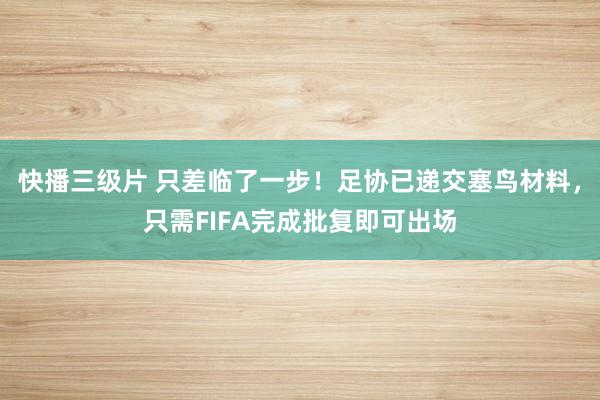 快播三级片 只差临了一步！足协已递交塞鸟材料，只需FIFA完成批复即可出场