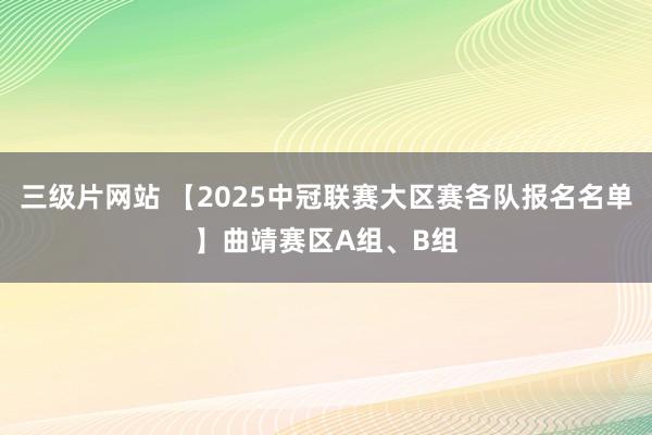 三级片网站 【2025中冠联赛大区赛各队报名名单】曲靖赛区A组、B组
